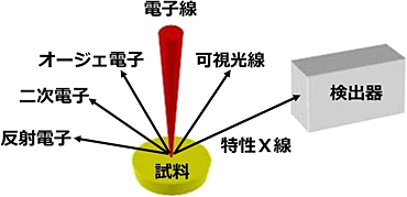 図1　電子線照射により発生する情報