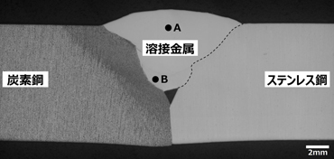 図4　異材継手溶接部の断面マクロ組織